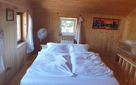 Homestay Sleepy Traveler